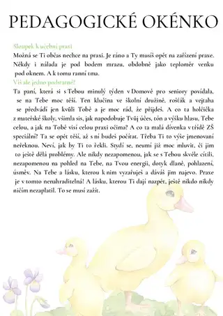 Strana 17